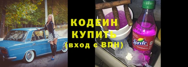 амф Новозыбков