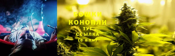 тгк Новокубанск