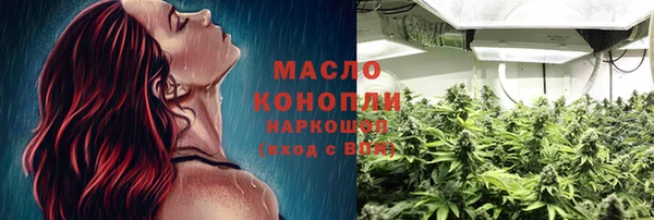 амф Новозыбков