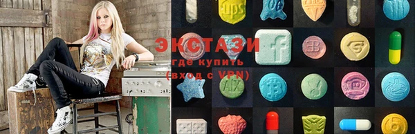 амф Новозыбков