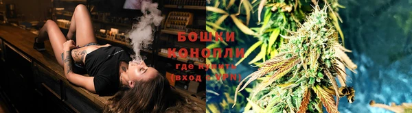 амф Новозыбков