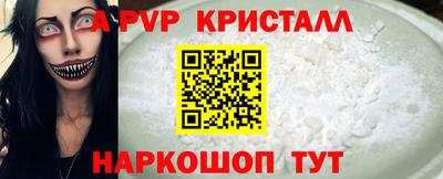 шишки Изобильный