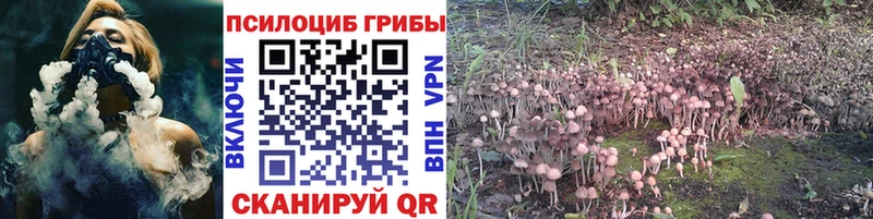Галлюциногенные грибы Magic Shrooms  Краснодар 
