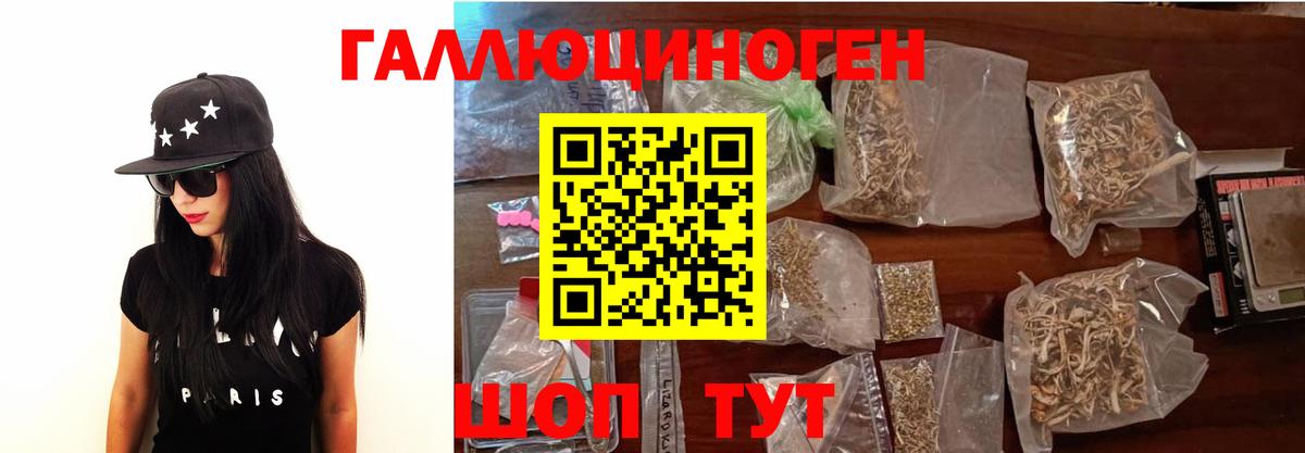 Псилоцибиновые грибы Psilocybe Краснодар